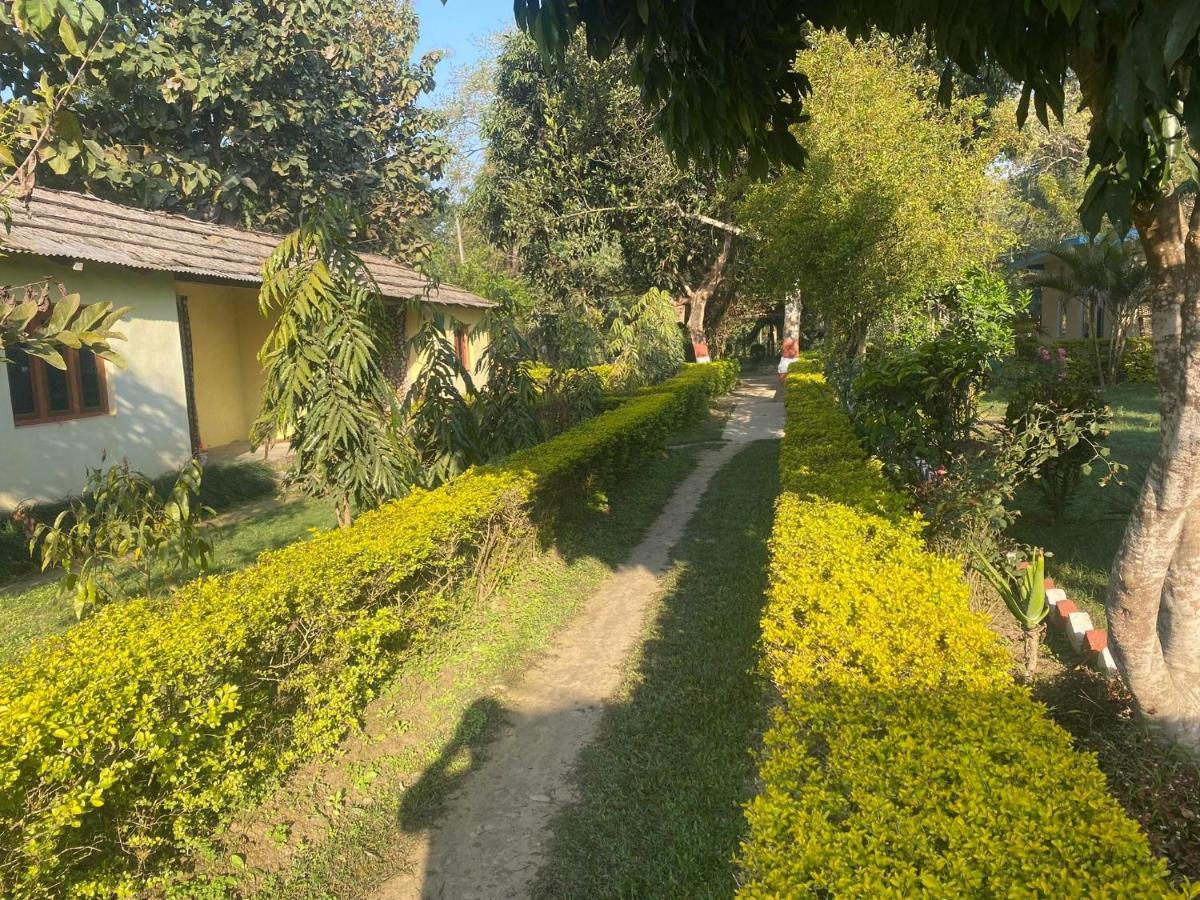 Hotel Golden River Of Wild Side Bardiya Exterior foto